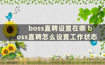 boss直聘设置在哪 boss直聘怎么设置工作状态